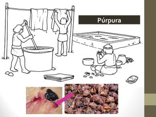 Púrpura
 