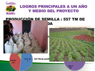 DESARROLLO DEL SECTOR SEMILLAS ZONA ANDINA