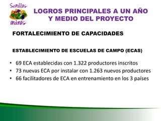 DESARROLLO DEL SECTOR SEMILLAS ZONA ANDINA