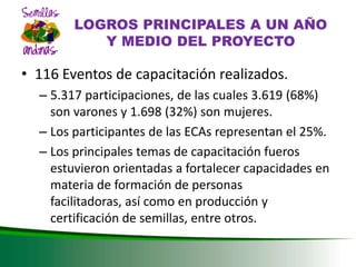 DESARROLLO DEL SECTOR SEMILLAS ZONA ANDINA