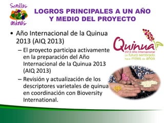 DESARROLLO DEL SECTOR SEMILLAS ZONA ANDINA