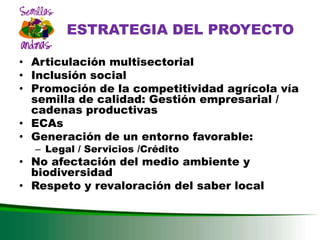 DESARROLLO DEL SECTOR SEMILLAS ZONA ANDINA