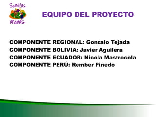 DESARROLLO DEL SECTOR SEMILLAS ZONA ANDINA