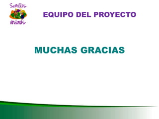 DESARROLLO DEL SECTOR SEMILLAS ZONA ANDINA