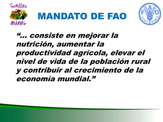 DESARROLLO DEL SECTOR SEMILLAS ZONA ANDINA