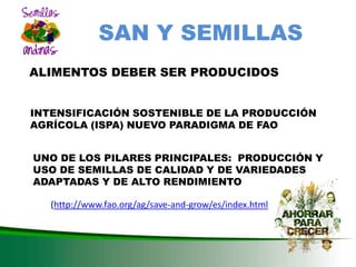 DESARROLLO DEL SECTOR SEMILLAS ZONA ANDINA