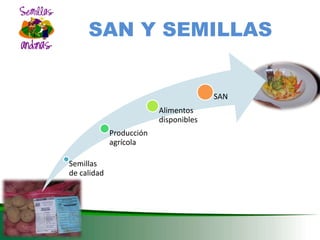 DESARROLLO DEL SECTOR SEMILLAS ZONA ANDINA