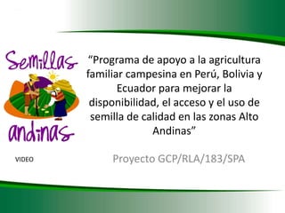 DESARROLLO DEL SECTOR SEMILLAS ZONA ANDINA