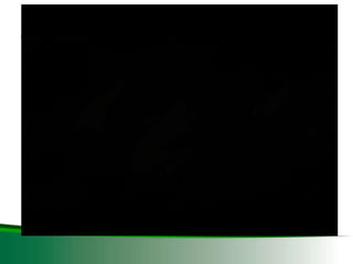 DESARROLLO DEL SECTOR SEMILLAS ZONA ANDINA