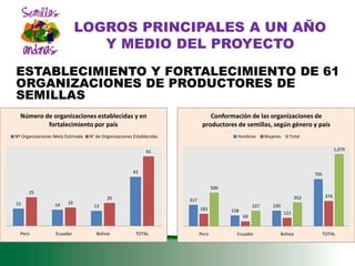DESARROLLO DEL SECTOR SEMILLAS ZONA ANDINA