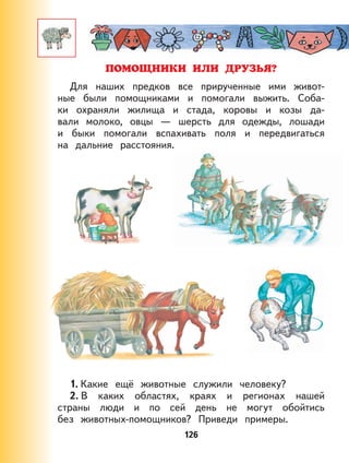 126
ПОМОЩНИКИ ИЛИ ДРУЗЬЯ?
Для наших предков все прирученные ими живот-
ные были помощниками и помогали выжить. Соба-
ки охраняли жилища и стада, коровы и козы да-
вали молоко, овцы — шерсть для одежды, лошади
и быки помогали вспахивать поля и передвигаться
на дальние расстояния.
1. Какие ещё животные служили человеку?
2. В каких областях, краях и регионах нашей
страны люди и по сей день не могут обойтись
без животных-помощников? Приведи примеры.
126
 