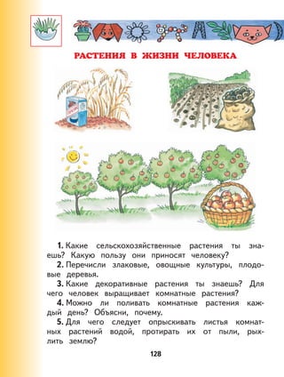 128
РАСТЕНИЯ В ЖИЗНИ ЧЕЛОВЕКА
1. Какие сельскохозяйственные растения ты зна-
ешь? Какую пользу они приносят человеку?
2. Перечисли злаковые, овощные культуры, плодо-
вые деревья.
3. Какие декоративные растения ты знаешь? Для
чего человек выращивает комнатные растения?
4. Можно ли поливать комнатные растения каж-
дый день? Объясни, почему.
5. Для чего следует опрыскивать листья комнат-
ных растений водой, протирать их от пыли, рых-
лить землю?
 