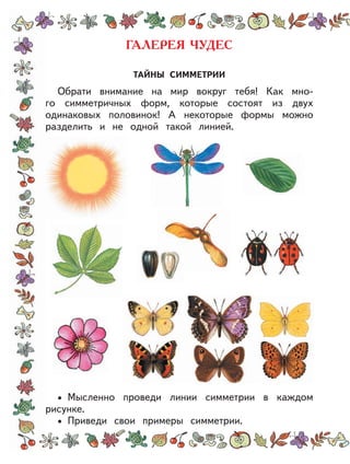 ТАЙНЫ СИММЕТРИИ
Обрати внимание на мир вокруг тебя! Как мно-
го симметричных форм, которые состоят из двух
одинаковых половинок! А некоторые формы можно
разделить и не одной такой линией.
Мысленно проведи линии симметрии в каждом
рисунке.
Приведи свои примеры симметрии.
•
•
 