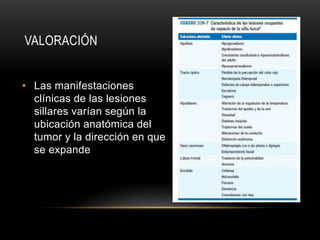 VALORACIÓN
• Las manifestaciones
clínicas de las lesiones
sillares varían según la
ubicación anatómica del
tumor y la dirección en que
se expande
 