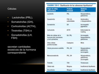 Células:
• Lactotrofas (PRL),
• Somatotrofas (GH),
• Corticotrofas (ACTH),
• Tirotrofas (TSH) o
• Gonadotrofas (LH,
FSH)
secretan cantidades
excesivas de la hormona
correspondiente
 