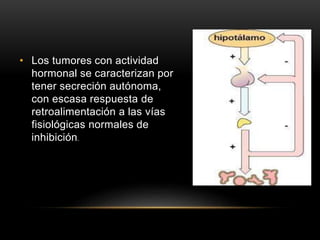 • Los tumores con actividad
hormonal se caracterizan por
tener secreción autónoma,
con escasa respuesta de
retroalimentación a las vías
fisiológicas normales de
inhibición.
 