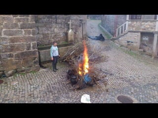 Pitões das Júnias Magusto