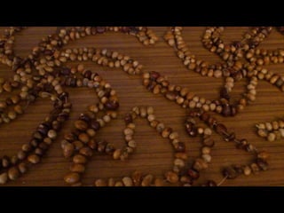 Pitões das Júnias Magusto