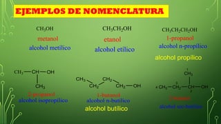 CH3OH
metanol
alcohol metílico
CH3CH2OH
etanol
alcohol etílico
CH3CH2CH2OH
1-propanol
alcohol n-propílico
CH3
2-propanol
alcohol isopropílico
CH
CH3
OH
alcohol n-butílico
CH3
CH2
CH2
CH2
1-butanol
OH
alcohol sec-butílico
CH3
4 CH2
3
CH
2
2-butanol
OH
CH3
1
EJEMPLOS DE NOMENCLATURA
alcohol propílico
alcohol butílico
 