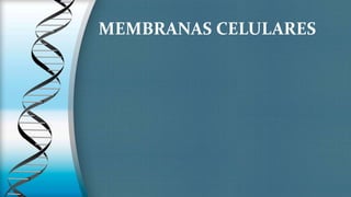 MEMBRANAS CELULARES
 