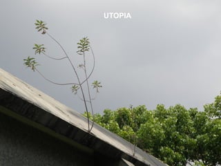 UTOPIA
 