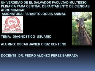 UNIVERSIDAD DE EL SALVADOR FACULTAD MULTIDISCI
PLINARIA PARA CENTRAL DEPARTAMENTO DE CIENCIAS
AGRONOMICAS
ASIGNATURA: PARASITOLOGUIA ANIMAL
TEMA: DIAGNOSTICO USUARIO
ALUMNO: OSCAR JAVIER CRUZ CENTENO
DOCENTE: DR. PEDRO ALONZO PEREZ BARRAZA
 