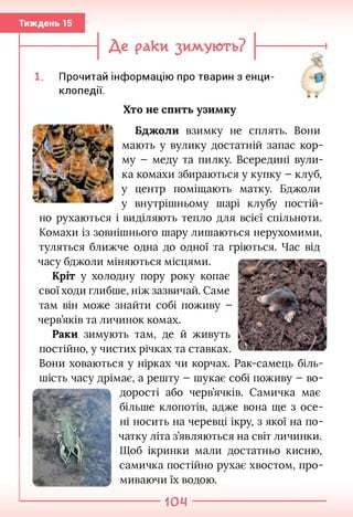 Тиждень 15
----------- Де раки зимують? --------- —і
Прочитай інформацію про тварин з енци­
клопедії.
Хто не спить узимку
Бджоли взимку не сплять. Вони
мають у вулику достатній запас кор­
му - меду та пилку. Всередині вули­
ка комахи збираються у купку - клуб,
у центр поміщають матку. Бджоли
у внутрішньому шарі клубу постій­
но рухаються і виділяють тепло для всієї спільноти.
Комахи із зовнішнього шару лишаються нерухомими,
туляться ближче одна до одної та гріються. Час від
часу бджоли міняються місцями.
Кріт у холодну пору року копає
свої ходи глибше, ніж зазвичай. Саме
там він може знайти собі поживу -
черв’яків та личинок комах.
Раки зимують там, де й живуть
постійно, у чистих річках та ставках.
Вони ховаються у нірках чи корчах. Рак-самець біль-
шість часу дрімає, а решту - шукає собі поживу - во­
дорості або черв’ячків. Самичка має
більше клопотів, адже вона ще з осе­
ні носить на черевці ікру, з якої на по­
чатку літа з’являються на світ личинки.
Щоб ікринки мали достатньо кисню,
самичка постійно рухає хвостом, про­
миваючи їх водою.
104
 