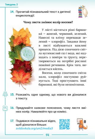 Тиждень 2
14. Прочитай пізнавальний текст з дитячої
енциклопедії.
Чому листя змінює колір восени?
У лйсті містяться різні барвни-
кй - жовтий, червоний, зелений.
Навесні та влітку переважає зе­
лений - хлорофіл. Завдяки йому
в листі відбуваються важливі
процеси. Під дією сонячного світ­
ла вуглекислий газ і вода, які над­
ходять з повітря та ґрунту, пере­
творюються на потрібні рослині
пожйвні речовини. Крім того, ви­
діляється кйсень.
Восени, коли сонячного світла
мало, хлорофіл поступово руй­
нується. Тоді проступають інші
барвникй, які були непомітними.
15. Розкажіть одне одному, що нового ви дізналися
з тексту.
16. Придумайте казкове пояснення, чому листя змі­
нює колір. Намалюйте про це комікс.
. Подивися пізнавальне відео,
щоб дізнатися більше:
svitdovkola.org/um2/media3
14
 