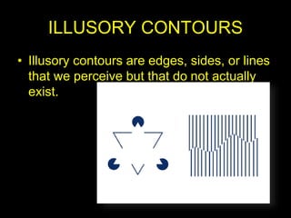ILLUSORY CONTOURS
• Illusory contours are edges, sides, or lines
that we perceive but that do not actually
exist.
 