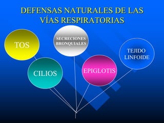 DEFENSAS NATURALES DE LAS
     VÍAS RESPIRATORIAS

           SECRECIONES
           BRONQUIALES
TOS
                                 TEJIDO
                                LINFOIDE


      CILIOS        EPIGLOTIS
 