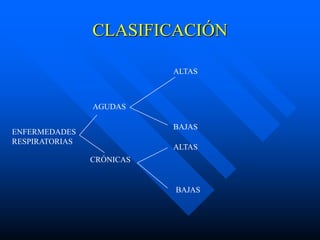 CLASIFICACIÓN

                           ALTAS



                AGUDAS

                           BAJAS
ENFERMEDADES
RESPIRATORIAS
                           ALTAS
                CRÓNICAS


                           BAJAS
 