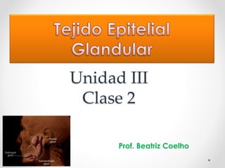 Unidad III
Clase 2
Prof. Beatriz Coelho
 