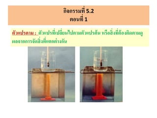 กิจกรรมที่ 5.2
ตอนที่ 1
ตัวแปรตาม : ตัวแปรที่เปลี่ยนไปตามตัวแปรต้น หรือสิ่งที่ต้องติดตามดู
ผลจากการจัดสิ่งที่แตกต่างกัน
 