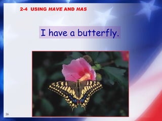I have a butterfly. 2-4  USING  HAVE  AND  HAS 