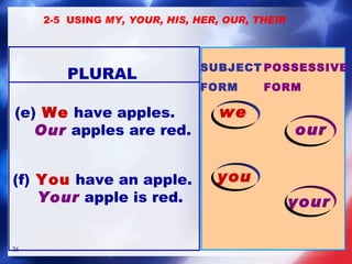 (e)   We  have apples. Our  apples are red. (f)   You  have an apple. Your  apple is red. PLURAL SUBJECT FORM POSSESSIVE FORM you your 2-5  USING  MY, YOUR, HIS, HER, OUR, THEIR we our 