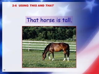That horse is tall. 2-6  USING  THIS  AND  THAT 