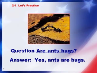 Are   ants   bugs? Question : ________________________________ 2-1  Let’s Practice Answer:   Yes, ants are bugs. 