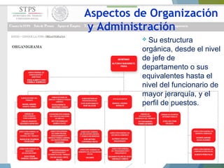  Su estructura
orgánica, desde el nivel
de jefe de
departamento o sus
equivalentes hasta el
nivel del funcionario de
mayor jerarquía, y el
perfil de puestos.
Aspectos de Organización
y Administración
 