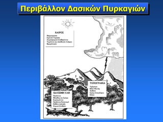 Περιβάλλον Δασικών Πυρκαγιών
 