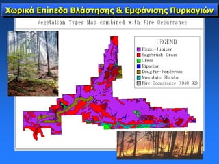 Χωρικά Επίπεδα Βλάστησης & Εμφάνισης Πυρκαγιών
 