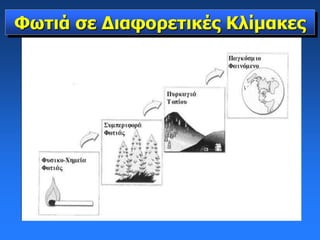 Φωτιά σε Διαφορετικές Κλίμακες
 