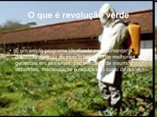 O que é revolução verde É um amplo programa idealizado para aumentar a produção agrícola no mundo por meio de melhorias genéticas em sementes, uso intensivo de insumos industriais, mecanização e redução do custo de manejo. 
