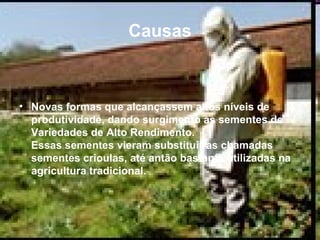 Causas Novas formas que alcançassem altos níveis de produtividade, dando surgimento às sementes de Variedades de Alto Rendimento. Essas sementes vieram substituir as chamadas sementes crioulas, até antão bastante utilizadas na agricultura tradicional.  