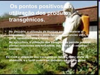 Os pontos positivos da utilização dos produtos transgênicos.  Na  pecuária, a utilização de técnicas permite acelerar o crescimento, aumentar o peso, fabricar substancias úteis, em geral, remédios raros e caros.  Na agricultura, a utilização dos transgênicos permite produzir plantas resistentes aos herbicidas, aos vírus e ao estresse biológico. Ex: Com a utilização dos transgênicos, haverá maior oferta de alimentos, e a fome poderá ser debelada em escala global  