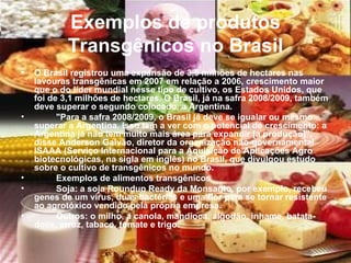 Exemplos de produtos Transgênicos no Brasil O Brasil registrou uma expansão de 3,5 milhões de hectares nas lavouras transgênicas em 2007 em relação a 2006, crescimento maior que o do líder mundial nesse tipo de cultivo, os Estados Unidos, que foi de 3,1 milhões de hectares. O Brasil, já na safra 2008/2009, também deve superar o segundo colocado, a Argentina. "Para a safra 2008/2009, o Brasil já deve se igualar ou mesmo superar a Argentina. Isso tem a ver com o potencial de crescimento: a Argentina já não tem muito mais área para expandir [a produção]", disse Anderson Galvão, diretor da organização não-governamental ISAAA (Serviço Internacional para a Aquisição de Aplicações Agro biotecnológicas, na sigla em inglês) no Brasil, que divulgou estudo sobre o cultivo de transgênicos no mundo.  Exemplos de alimentos transgênicos Soja: a soja Roundup Ready da Monsanto, por exemplo, recebeu genes de um vírus, duas bactérias e uma flor para se tornar resistente ao agrotóxico vendido pela própria empresa. Outros: o milho, a canola, mandioca, algodão, inhame, batata-doce, arroz, tabaco, tomate e trigo. 