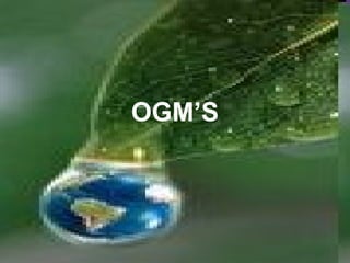 OGM’S 