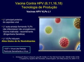 Vacina Contra HPV (6,11,16,18)
Tecnologia de Produção
Vacinas HPV VLPs L1
• L1 principal proteína
do capsídeo viral
• L1 auto-arranjo formando VLPs
não infecciosos/ não oncogênicos)
Vacina inativada - recombinante
(Engenharia Genética)
• L1 VLPs induzem
Altos tAltos tíítulos de Ac Neutralizantes
1. Kirnbauer R, Booy F, Cheng N, Lowy DR, Schiller JT. Proc Natl Acad Sci USA. 1992;89:12180–12184.
2. Syrjänen KJ, Syrjänen SM. Chichester, United Kingdom: John Wiley & Sons, Inc; 2000:11–51.
• VLP = Virus-Like Particle
Partícula Semelhante a Vírus
tulos de Ac Neutralizantes
 