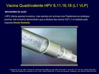 Vacina Quadrivalente HPV 6,11,16,18 (L1 VLP)Vacina Quadrivalente HPV 6,11,16,18 (L1 VLP)
MECANISMO DE AÇÃO
• HPV infecta apenas humanos, mas estudos em animais com PapilomavHPV infecta apenas humanos, mas estudos em animais com Papilomavírus análogosírus análogos
(animal, não humano) demonstram que a eficácia das vacina VLP L1(animal, não humano) demonstram que a eficácia das vacina VLP L1 é mediada pelaé mediada pela
respostaresposta Imune HumoralImune Humoral..
1. Stanley M. Vaccine. 2005. 2. Batista FD, Neuberger MS. EMBO Journal. 2000;19:513–520. 3. Tyring SK. Curr Ther Res. 2000;61:584–596. 4.
Roden RB, Hubbert NL, Kirnbauer R, et al. J Virol. 1996;70:3298–3301. 5. Chen XS, Garcea RL, Goldberg I, et al. MolCell. 2000;5:557–567.
 