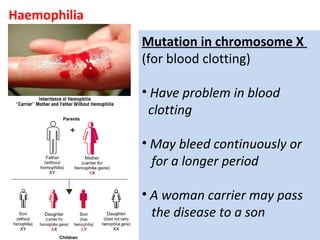 Haemophilia
Mutation in chromosome X
(for blood clotting)
• Have problem in blood
clotting
• May bleed continuously or
for a longer period
• A woman carrier may pass
the disease to a son
 