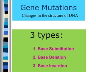 Gene Mutations
3 types:
1. Base Substitution
2. Base Deletion
3. Base Insertion
Changes in the structure of DNA
 